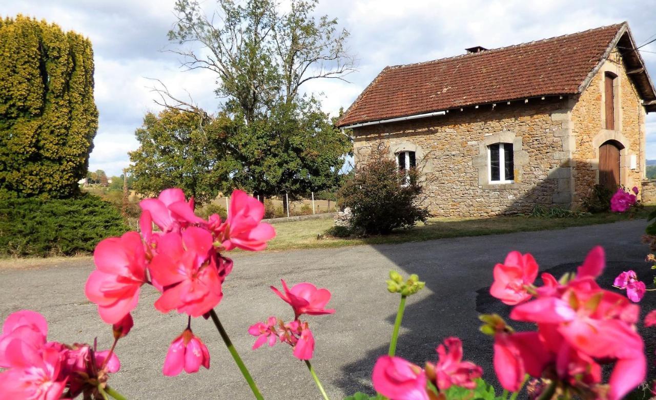 Les Hauts De Malirat Capdenac-Gare Екстериор снимка